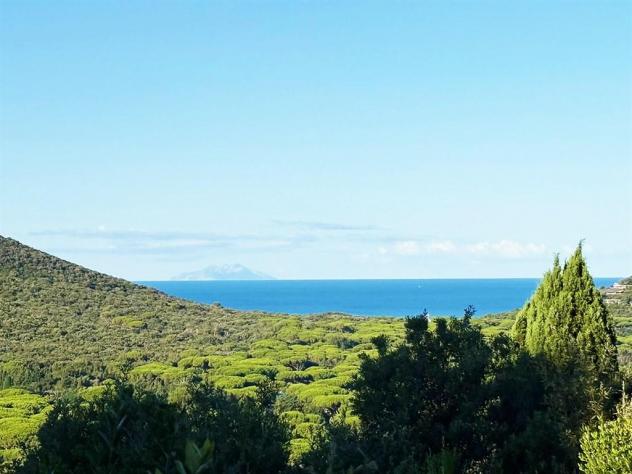 Splendida ed Esclusiva Proprietà Incastonata nella Dolce Collina di Punta Ala - Foto 2