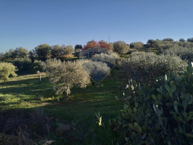 Terreno in vendita a Caltagirone, Santo Pietro - Foto 5