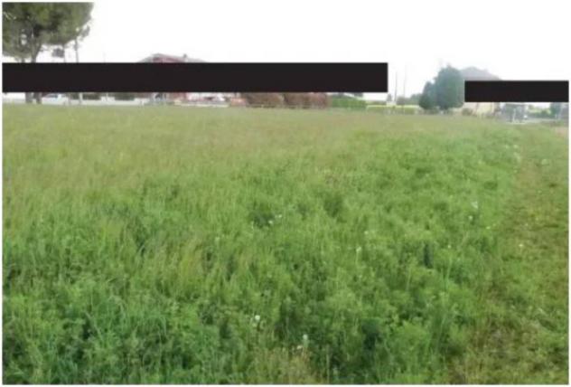 Immobile in asta di 8019 m² in vendita a Istrana - Foto 8
