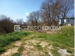 Terreno di 2930 mq  in vendita a Monteleone d'Orvieto - Rif. 4553246
