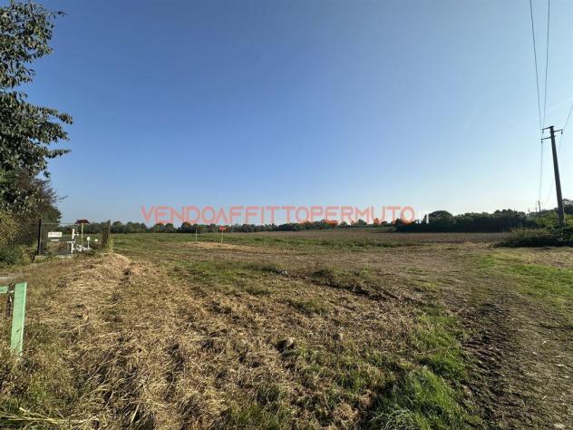 TERRENO AGRICOLO 4.400MQ - Foto 10
