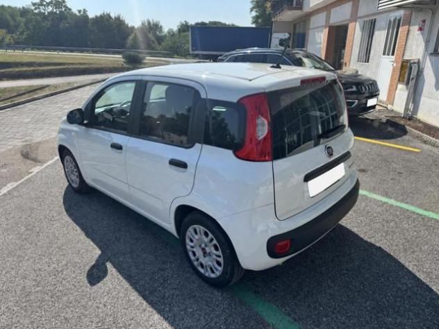 FIAT Panda III 1.0 FireFly 70Cv S&S Hybrid Easy rif. 23909664 - Foto 4