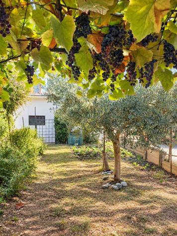 Appartamento in contesto bifamiliare con ingresso indipendente - Foto 3