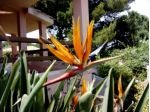 Villa 500m.dal mare