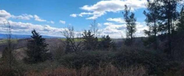 Immobile in asta di 1048270 m² in vendita a Piancastagnaio - Foto 9