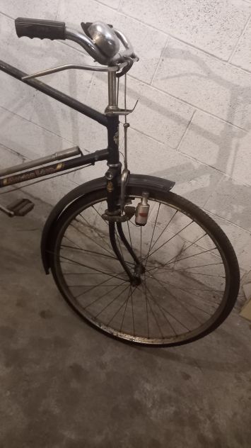 Bicicletta Golden Lion - Foto 2