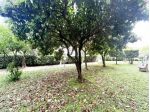 APPARTAMENTO di 4 vani e di 88 mq (POGGIO A CAIANO) rif. L1374_1