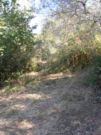 Perdifumo, Terreno Di 18.000 Mq Vista Mare Con Un Rudere - Foto 2