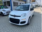 FIAT Panda Panda 1.0 firefly hybrid s&s Icon
