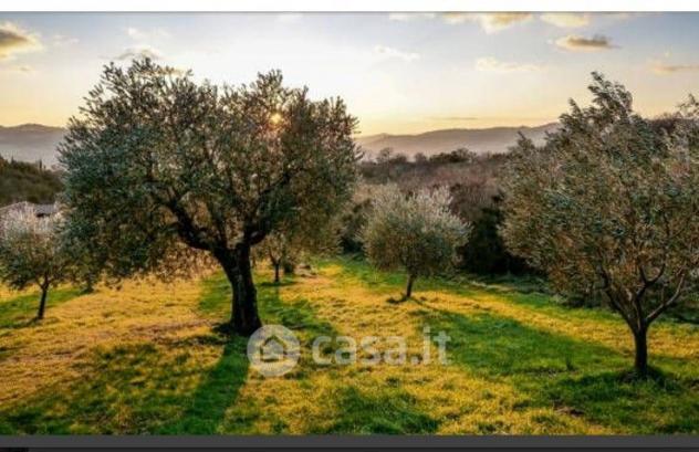 Magione vendesi terreno agricolo 16500 Mq - Foto 4