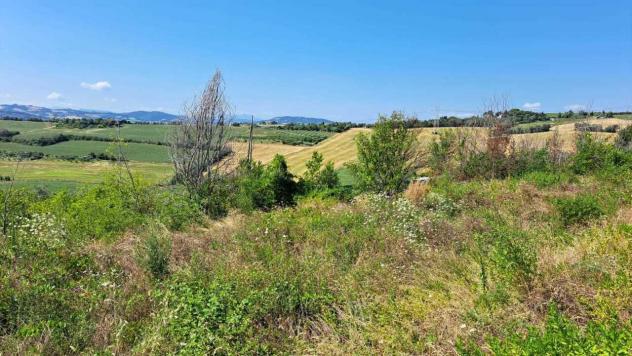 Terreno edificabile in vendita a Pesaro - Foto 12