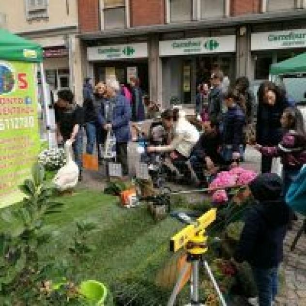 Il Mondo dei Servizi di Martin Stock Coop Soc