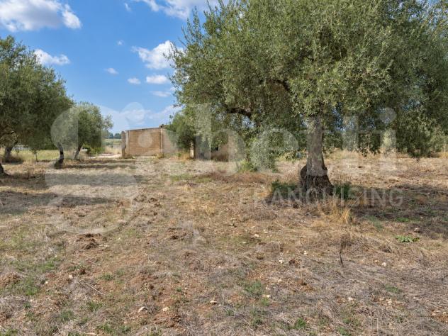 Terreno Agricolo - Chiaramonte Gulfi . Rif.: Cod. rif 3343369VCG