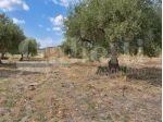Terreno Agricolo - Chiaramonte Gulfi . Rif.: Cod. rif 3343369VCG