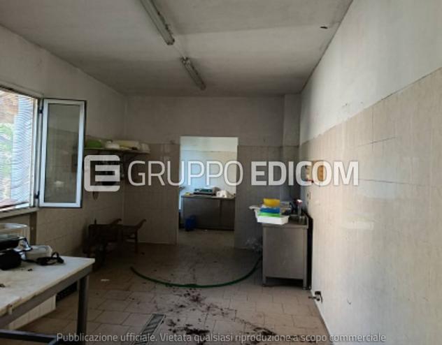Fabbricati per attività agricole in vendita a Mortara - Rif. 4557725 - Foto 4