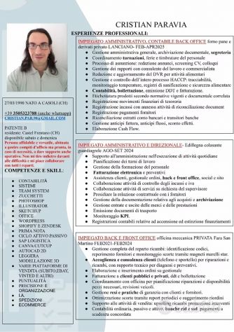 Contabile impiegato amministrativo Tecnico segreteria Commesso altro