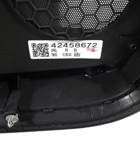 PANNELLO ANTERIORE DESTRO OPEL Mokka X 42458672 (16) - Foto 14