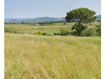 Terreno edif. residenziale in vendita a Lamporecchio 4370 mq  Rif: 1305780