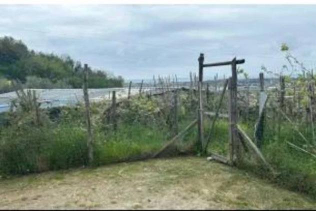 Immobile in asta di 590 m² in vendita a Massa - Foto 4