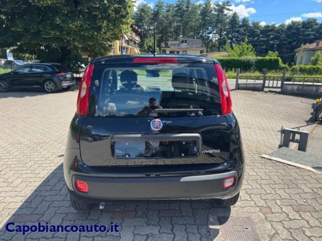 FIAT Panda 1.0 FireFly S&S Hybrid POP KM0 PROMO rif. 23776927 - Foto 5
