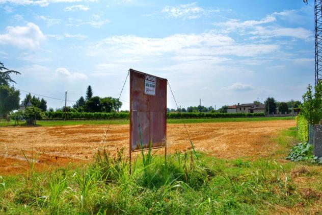 Terreno Residenziale - Cavarzere . Rif.: C0129VRG - Foto 2