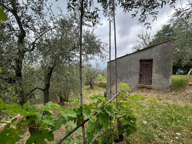 Agricolo in vendita a Arcola - Foto 4