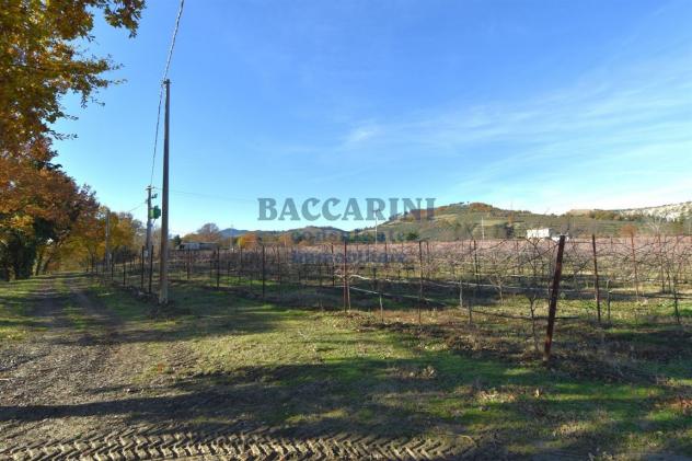 FONDO AGRICOLO CA' DEI FRATI - BRISIGHELLA - Foto 2