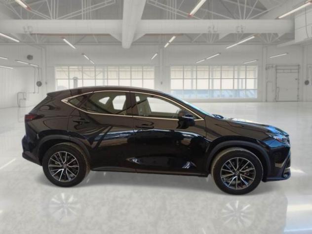 Lexus NX Hybrid BUSINESS 2WD MY22 FINO A 3 ANNI DI GARANZIA - Foto 4