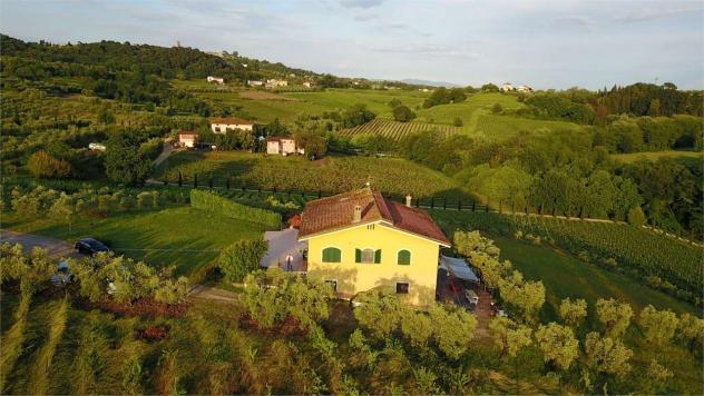 Villa mont 1600 - Villa a Montecarlo