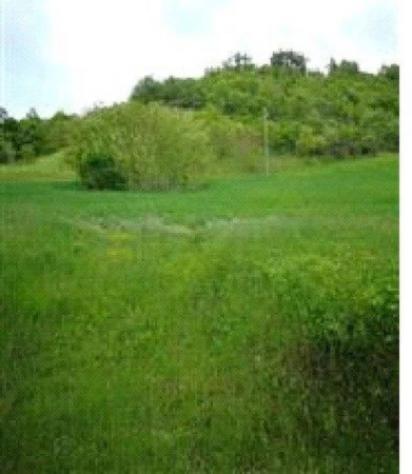 Immobile in asta di 303 m² con più di 5 locali in vendita a Cagli - Foto 3