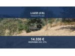 Immobile in asta di 1786 m² in vendita a Luzzi