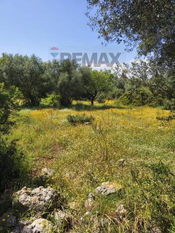 Terreno Edificabile in vendita a Noto - Foto 3