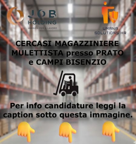 MAGAZZINIERE MULETTISTA