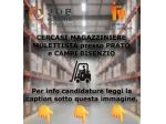 MAGAZZINIERE MULETTISTA