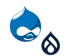 Realizzazione siti web professionali Drupal.