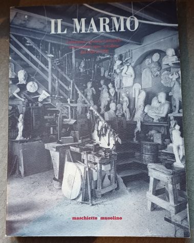Il marmo: laboratori e presenze artistiche nel territorio apuo versiliese dal 19