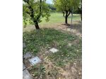 Appartamento in affitto a Gello - San Giuliano Terme 90 mq  Rif: 1341110