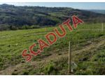 Immobile in asta di 18 m² in vendita a Busso