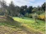 Terreno agricolo in vendita a Limoncino - Livorno 3600 mq  Rif: 1299868