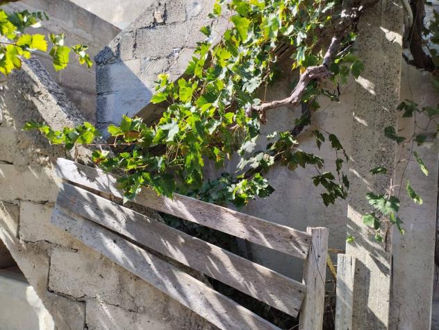 Fattoria in vendita a Modica, Rocciola - Foto 17