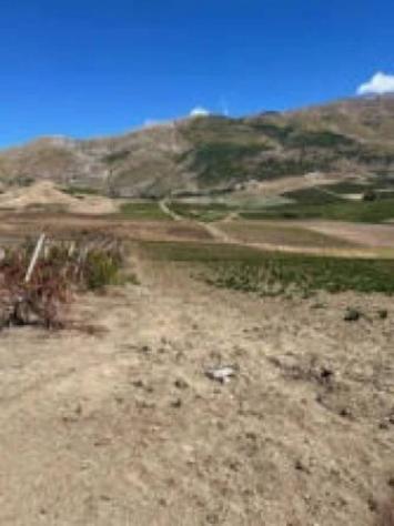 Immobile in asta di 118260 m² in vendita a Monreale - Foto 6