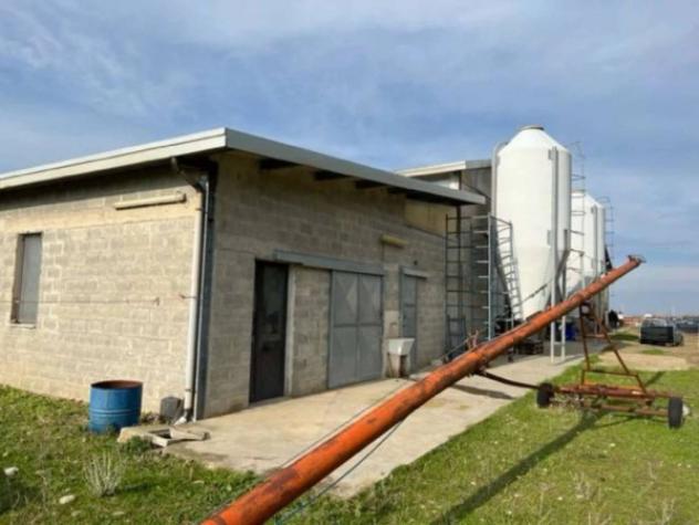 Immobile in asta di 2100 m² in vendita a Venosa - Foto 4