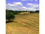 Azienda Agraria Montelujano S.S.