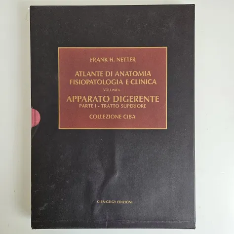 Netter, 7 Volumi - Collezione Ciba Geigy - Frank Netter - 1985 - TRACCIATA! - Foto 6