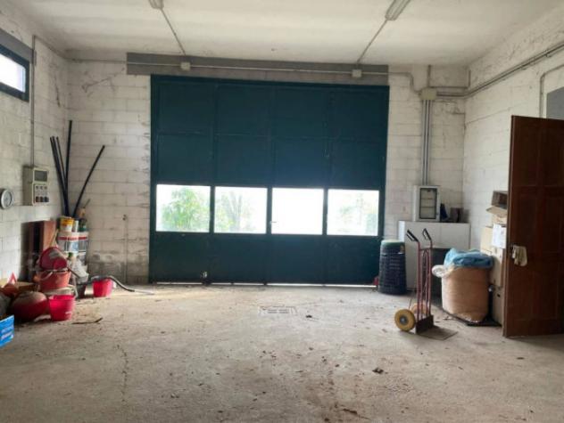 Immobile in asta di 4058 m² in vendita a Castel San Giovanni - Foto 19