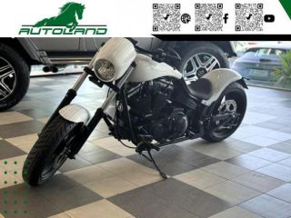 HARLEY-DAVIDSON 883 Sportster Custom Walz Hardcore Benchmark rif. 22895958