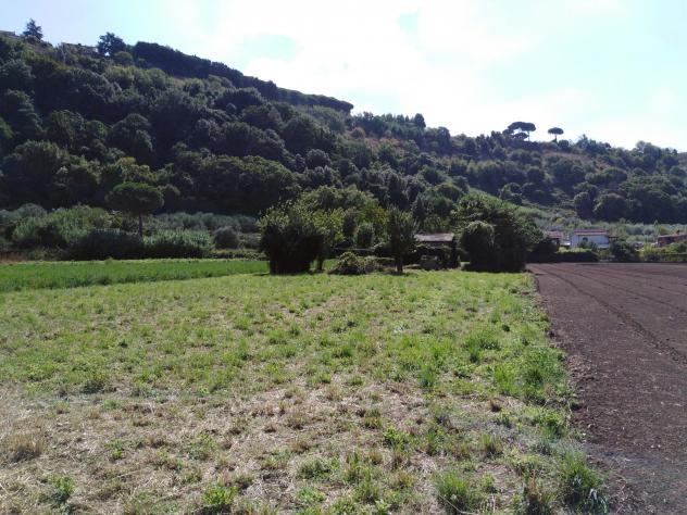 Agricolo in Via della Moletta - Foto 7