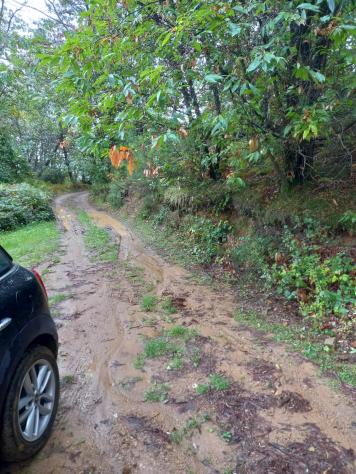 Rustico in vendita a Petrognano - Capannori 150 mq Rif: 1066727 - Foto 2