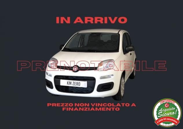 FIAT Pandina 1.0 FireFly 65 CV Hybrid Icon rif. 24105648