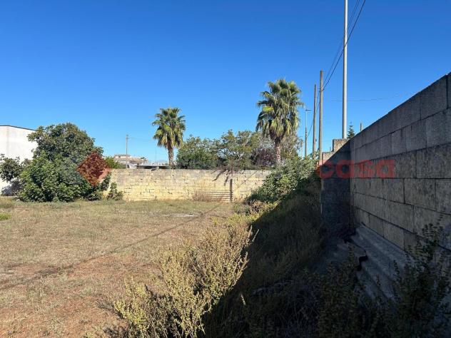 Terreno Residenziale - Montesano Salentino . Rif.: Pogg18VRG - Foto 2